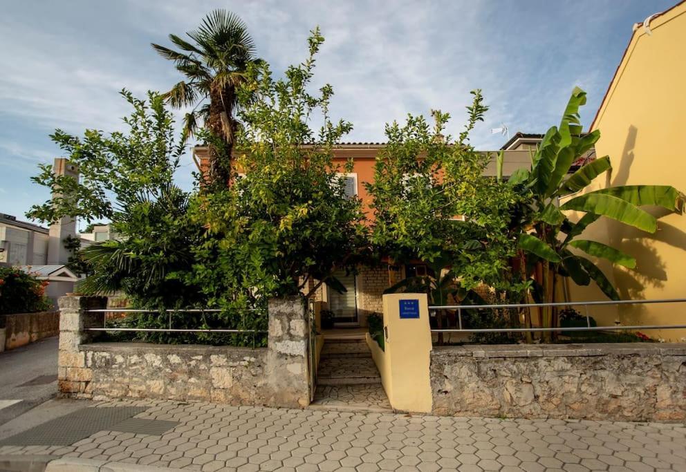 Apartman Den,Rovinj Oaza U Centru Grada I Besplatnim Parkingom Lejlighed Eksteriør billede